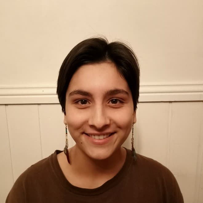 Lajuventi Pannu